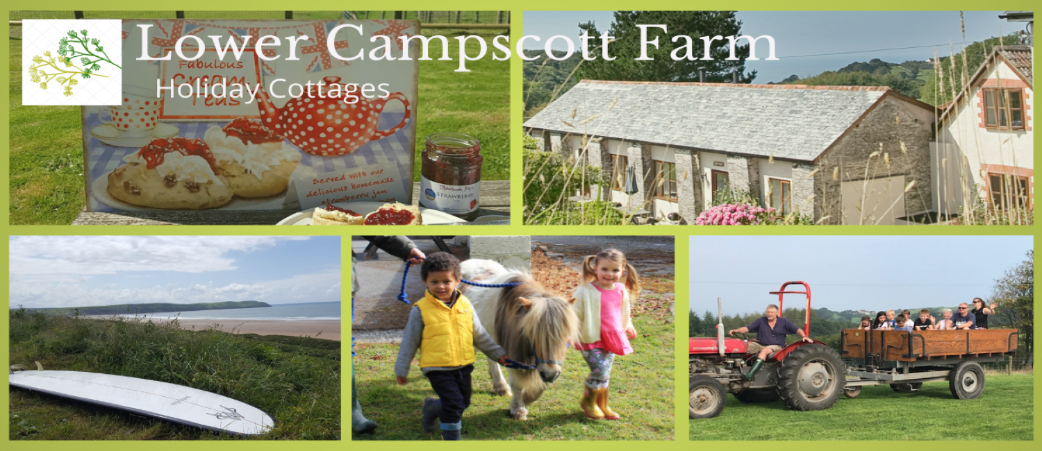 Banner showing holiday experiences at Lower Campscott Farm